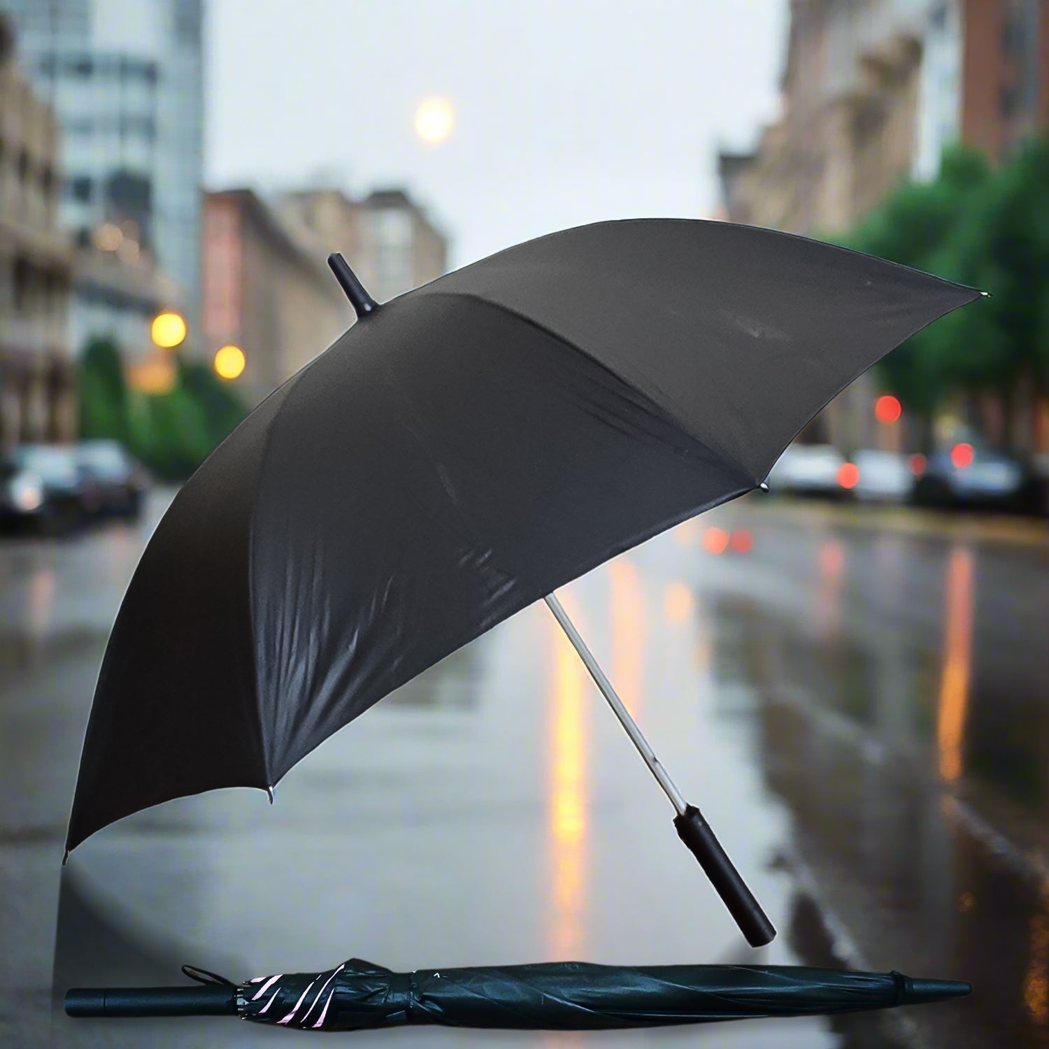 Umbrella Umbrella